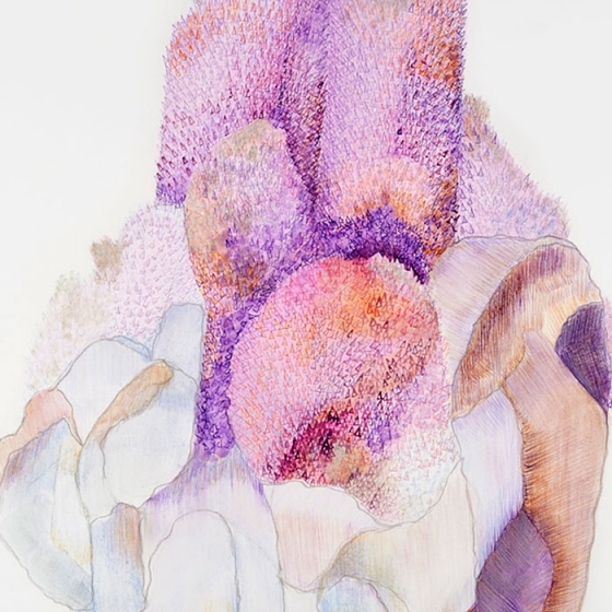 https://a40442a0-dd1e-411a-ab5f-b48c4491ce26.mirunadragan.com/files/gimgs/th-23_Erratics-Draw3-detail-web_v2.jpg
